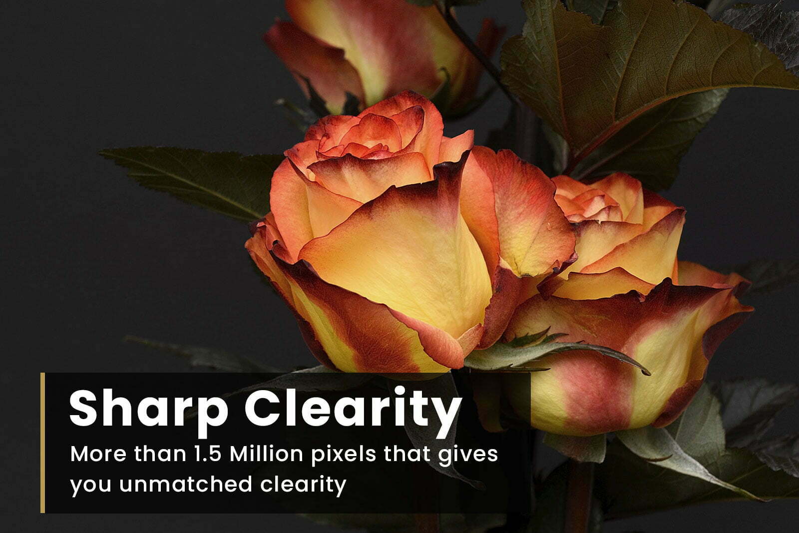 Aywon sharp clearity